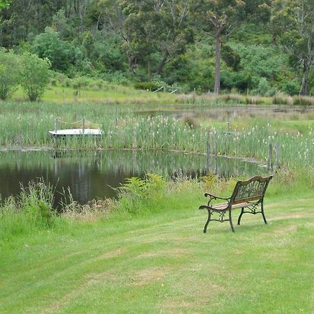 Hamlet Downs Country Accommodation Fentonbury Eksteriør bilde