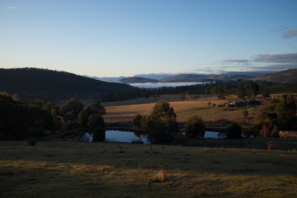 Hamlet Downs Country Accommodation Fentonbury Eksteriør bilde