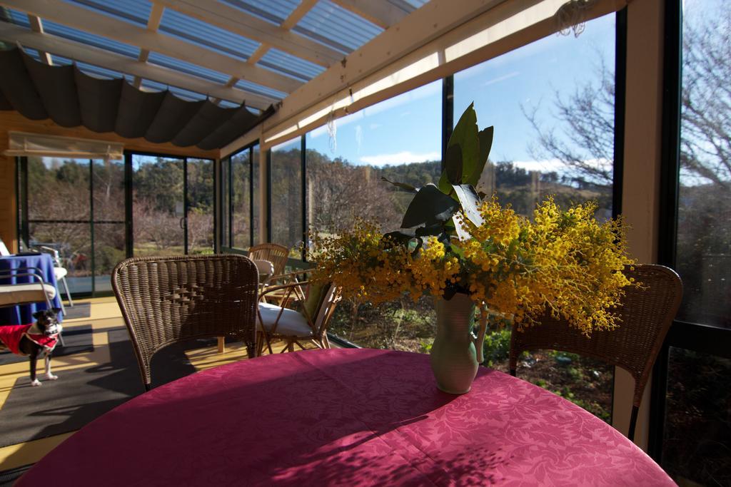 Hamlet Downs Country Accommodation Fentonbury Eksteriør bilde
