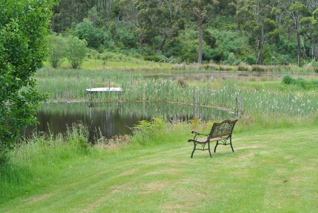 Hamlet Downs Country Accommodation Fentonbury Eksteriør bilde