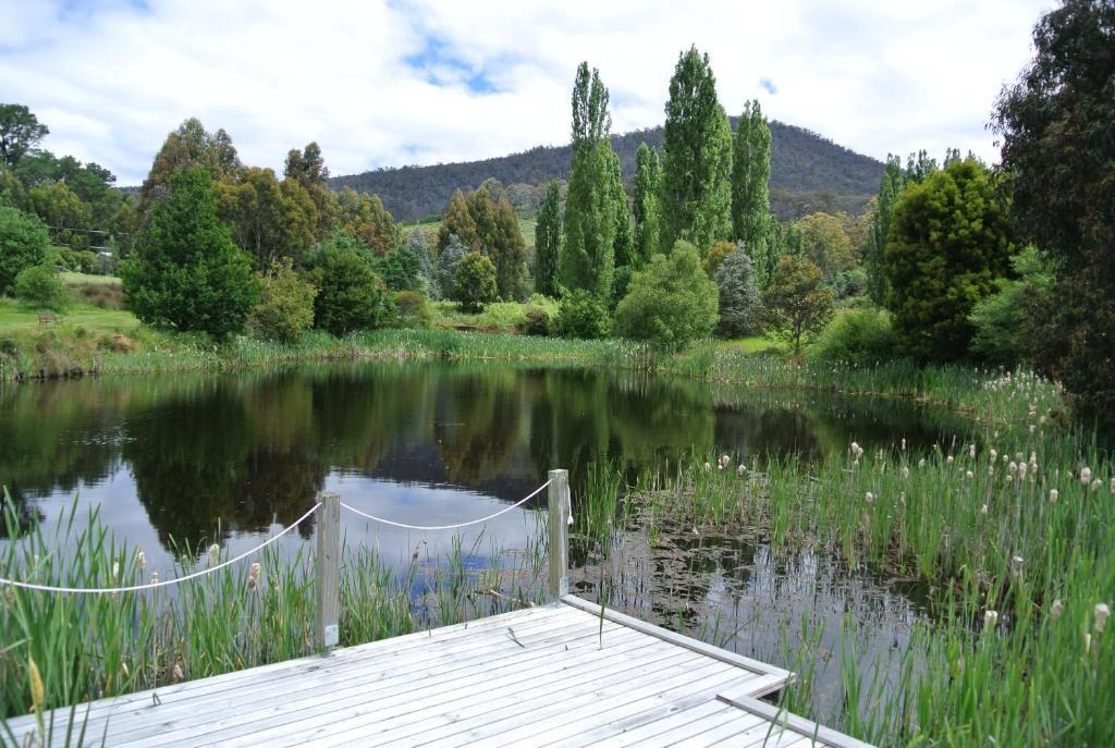 Hamlet Downs Country Accommodation Fentonbury Eksteriør bilde