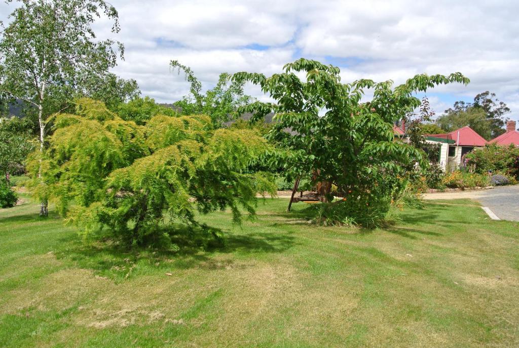 Hamlet Downs Country Accommodation Fentonbury Eksteriør bilde
