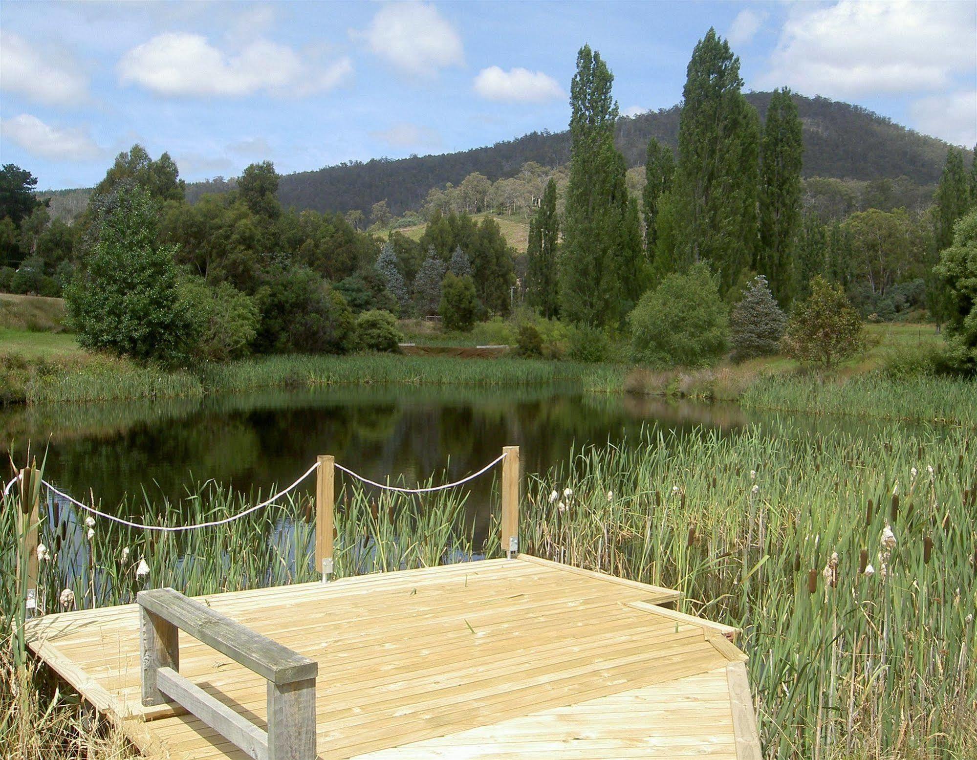 Hamlet Downs Country Accommodation Fentonbury Eksteriør bilde