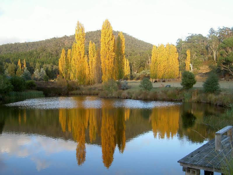 Hamlet Downs Country Accommodation Fentonbury Eksteriør bilde