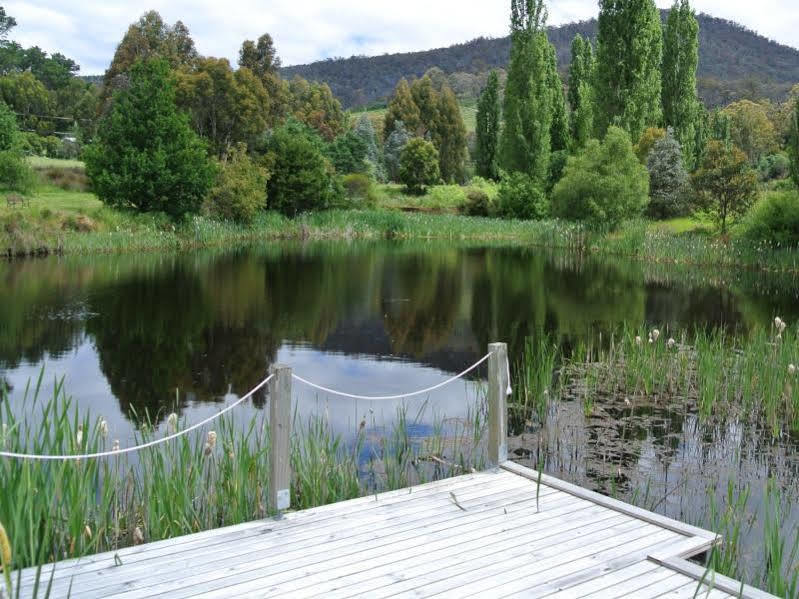 Hamlet Downs Country Accommodation Fentonbury Eksteriør bilde