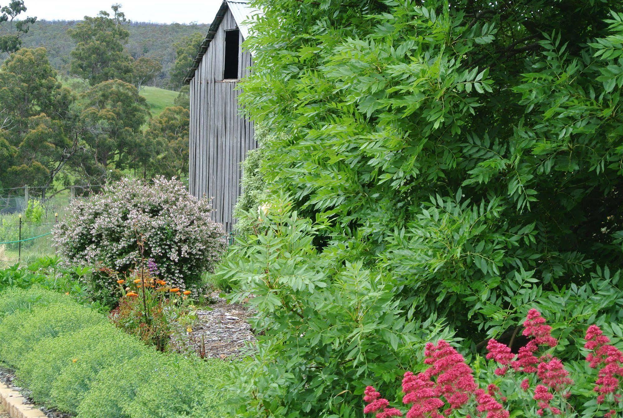 Hamlet Downs Country Accommodation Fentonbury Eksteriør bilde