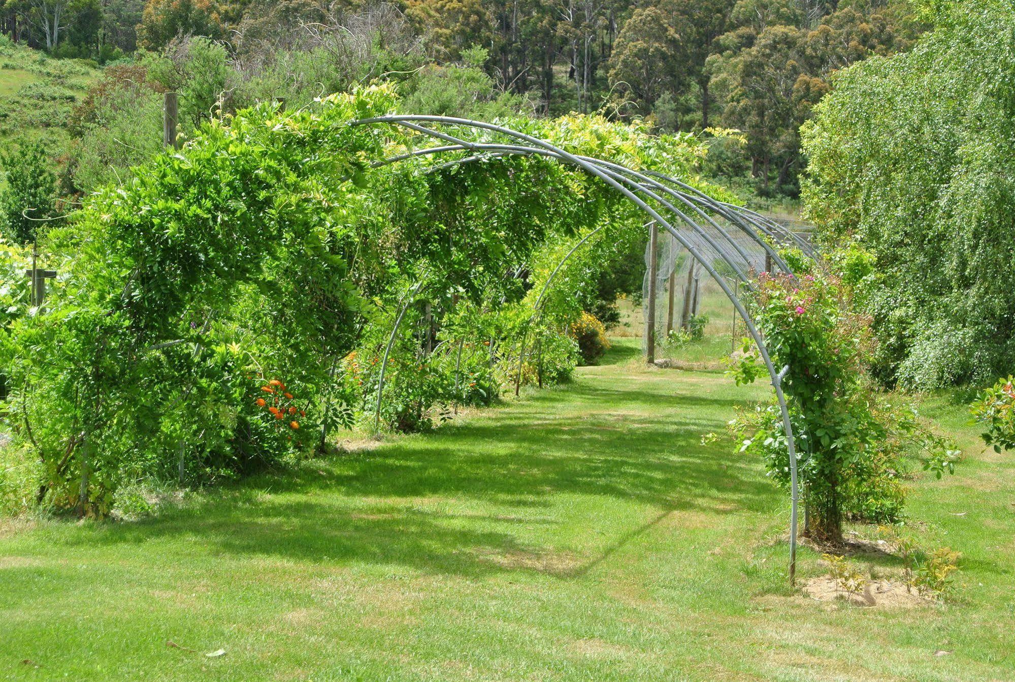 Hamlet Downs Country Accommodation Fentonbury Eksteriør bilde