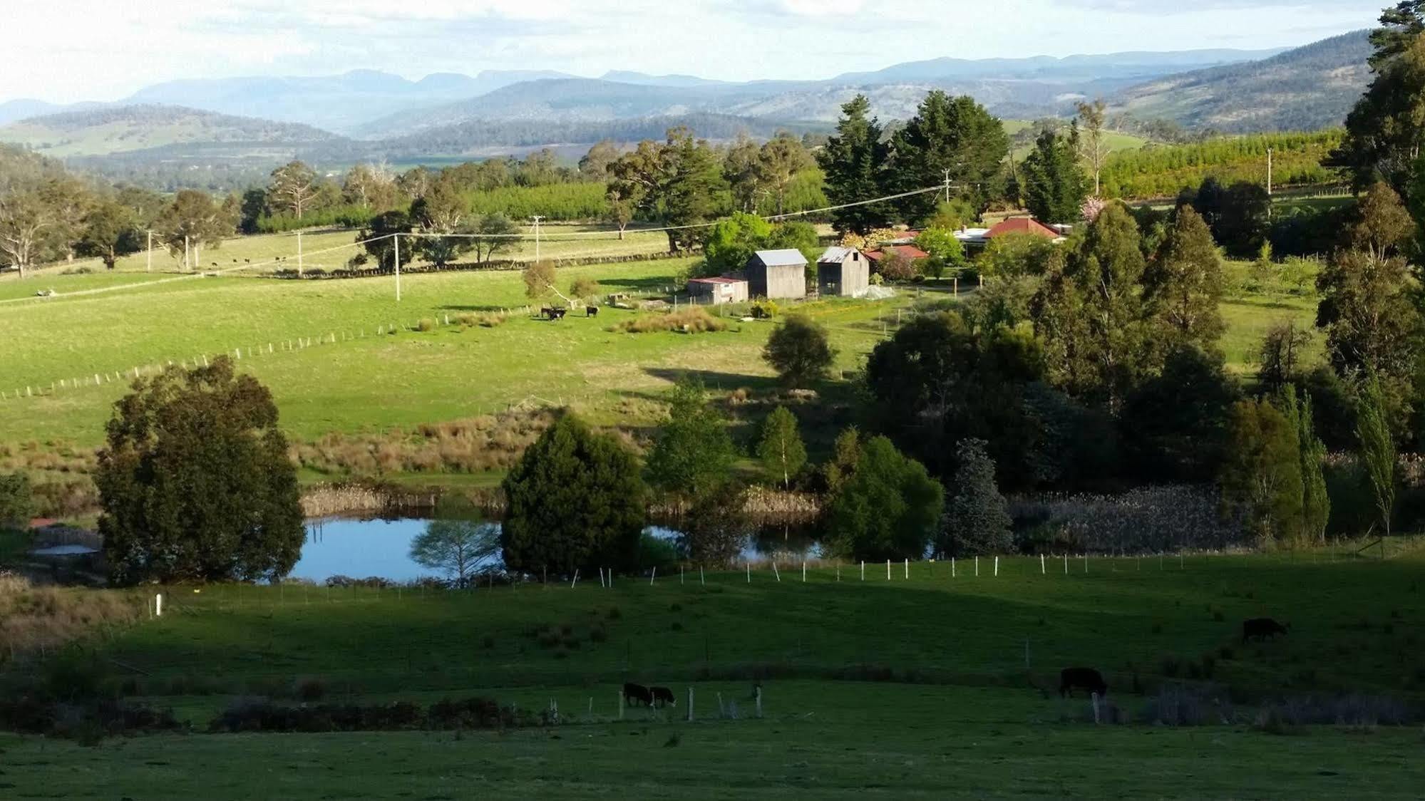 Hamlet Downs Country Accommodation Fentonbury Eksteriør bilde