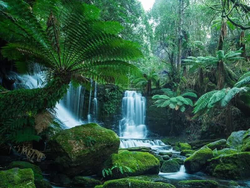 Hamlet Downs Country Accommodation Fentonbury Eksteriør bilde